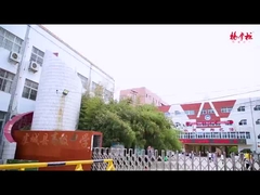 Les montagnes de nouilles aux légumes et aux œufs marinés sont super délicieuses et addictives!