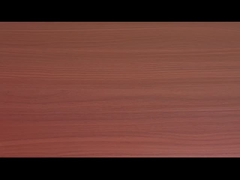 Vermicelli et nouilles instantanées au goût de bœuf tomate OEM acceptable